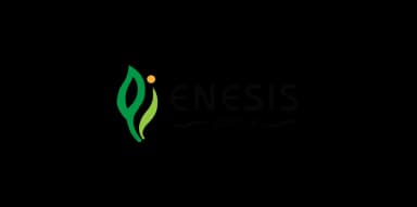 Logo Enesis